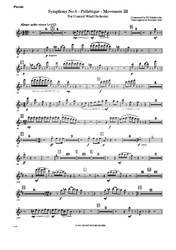 Symphony No.6 Pathétique Movement III (Parts) Solo Flute, 1&2 Flute, Piccolo
